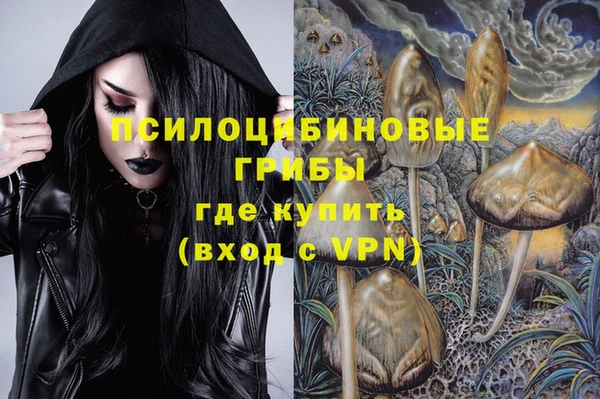 мдпв Вязьма