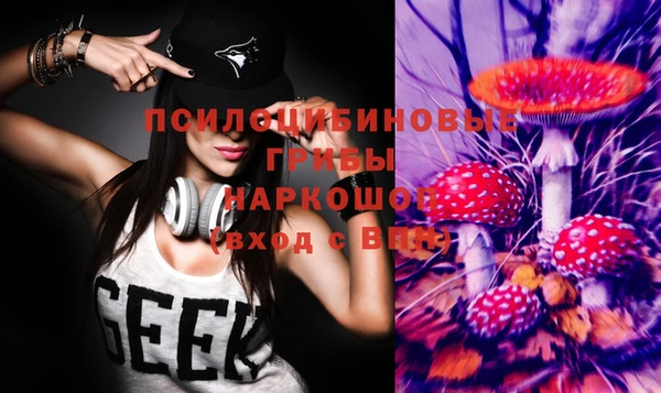 мдпв Вязьма