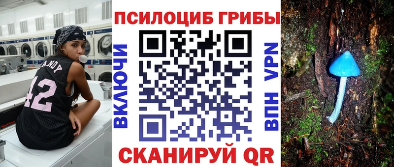 Купить закладки  Осинники  Псилоцибиновые грибы Magic Shrooms 